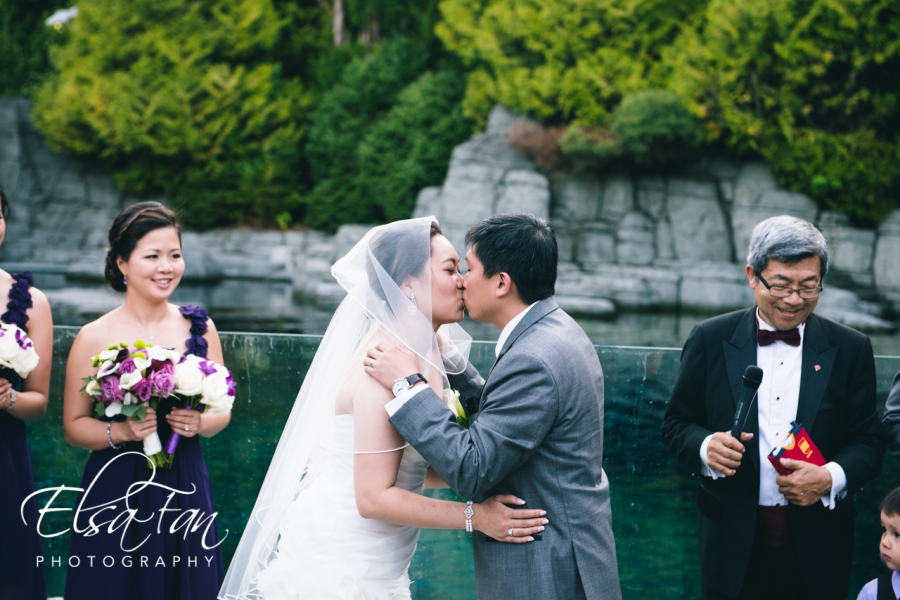 Vancouver Aquarium Wedding Photos